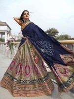 Multicolor Banarasi Silk Lehenga Choli